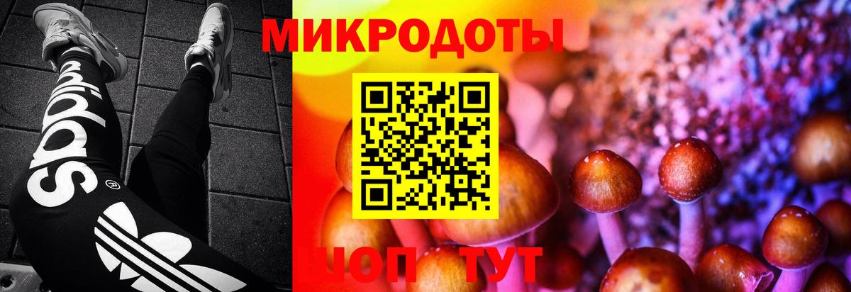 Псилоцибиновые грибы мицелий Калуга